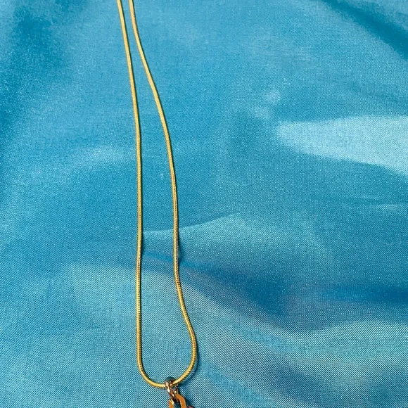 Louis Vuitton Red & Brown Flower Star Charm on Necklace NIB - Picture 7 of 7